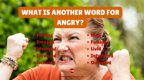 another word for clarifies.